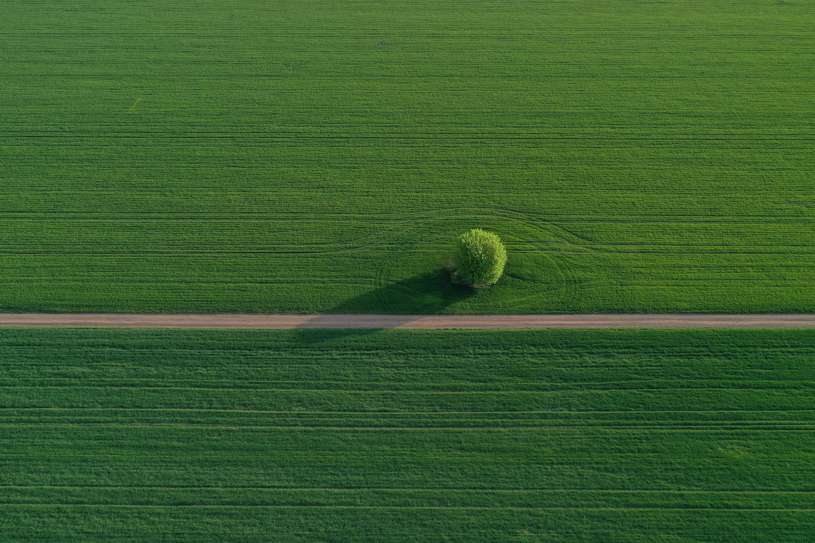 Aerial view of agricultural land